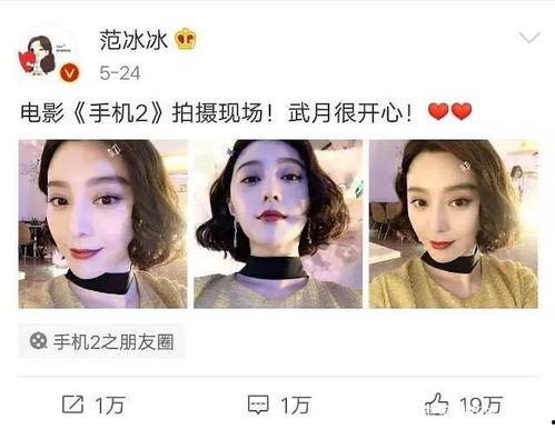2019娱乐圈吃瓜,瓜田李下,明星们的年度“瓜”事盘点